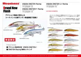 VISION ONETEN+1 Racing